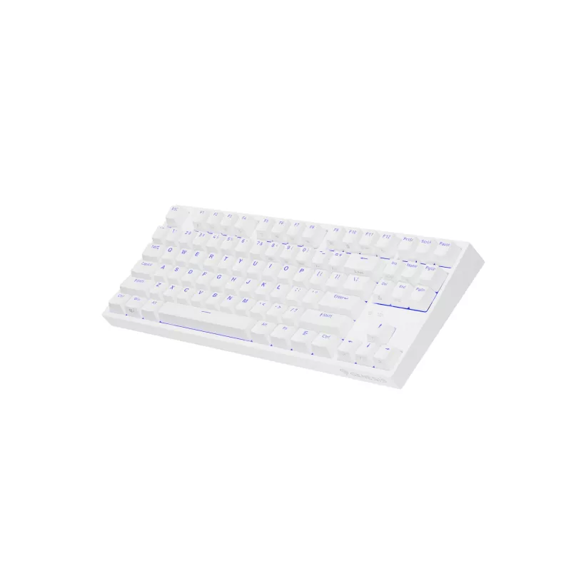 GENESIS Thor 404 TKL klaviatuur Gaming USB QWERTY US International Valge