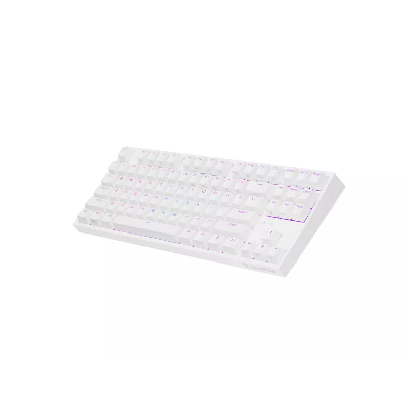 GENESIS Thor 404 TKL klaviatuur mängimiseks USB QWERTY US International Valge