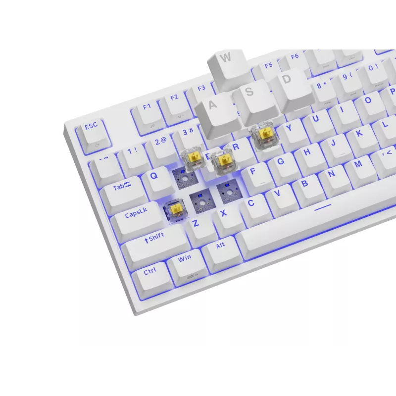 GENESIS Thor 404 TKL klaviatuur mängimiseks USB QWERTY US International Valge