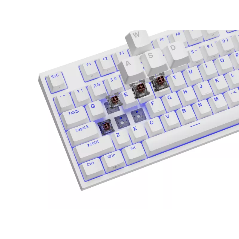 GENESIS Thor 404 TKL klaviatuur mängimiseks USB QWERTY US International Valge