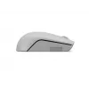 Juhtmevaba Lenovo Compact hiir Arctic Grey — mõlemakäeline, RF-juhtmevaba, 1000 DPI, 3 nuppu, patareitoitel