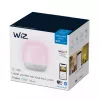 WiZ nutikas LED-pirn 9W Wi-Fi/Bluetooth