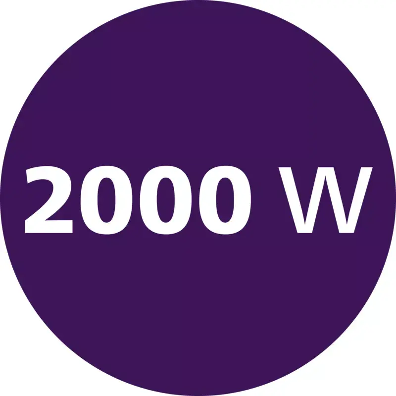 Philips 1000 seeria DST1030/20 aurutriikraud