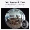 IP turvakaamera Reolink Fisheye P520 6MP kuppel, 2560×2560, 180° fisheye, PoE/DC, microSD kuni 256 GB