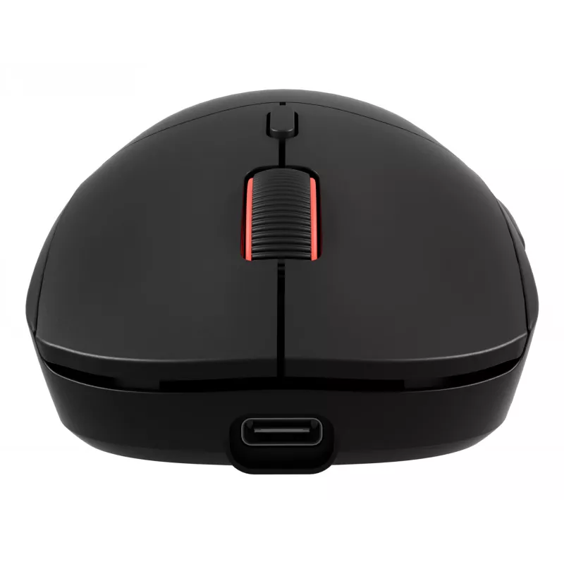 GENESIS Zircon XIII hiir Gaming Kahekäeline RF Juhtmevaba + USB Type-C Optiline 26000 DPI