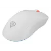 GENESIS Zircon XIII hiir Gaming Ambidextrous RF Wireless + USB Type-C Optical 26000 DPI