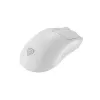 GENESIS Zircon 500 hiir Gaming Paremakäeline RF Juhtmevaba + Bluetooth + USB Type-C Optiline 10000 DPI
