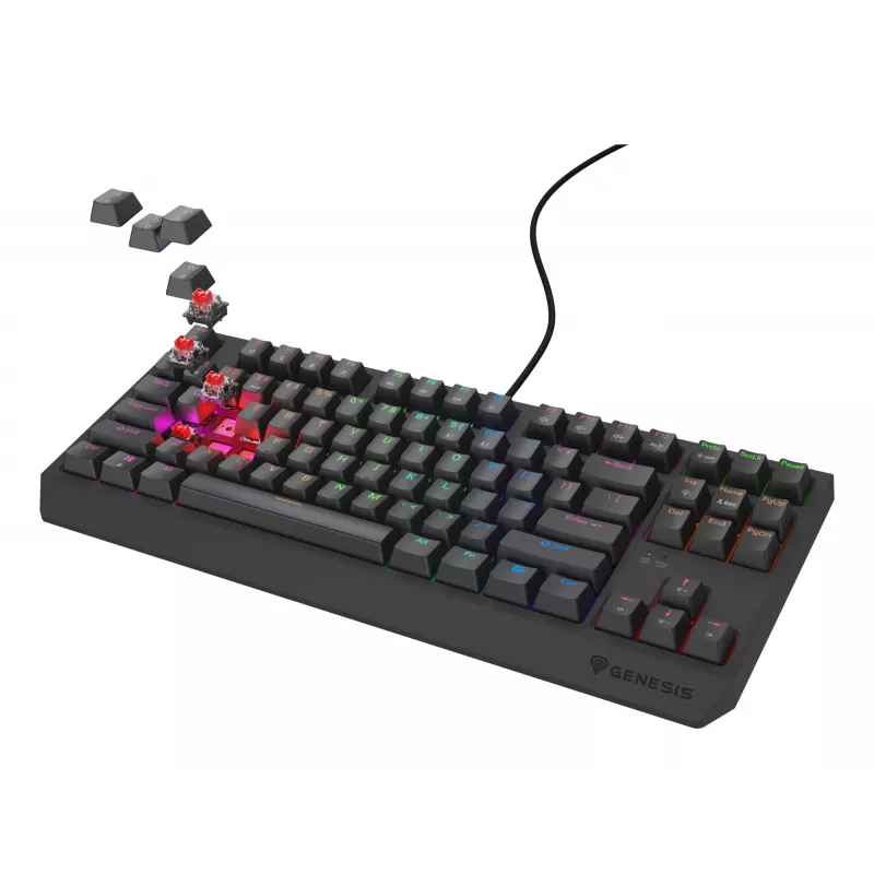 GENESIS Thor 230 TKL Lite klaviatuur Mängimine USB QWERTY Inglise Must