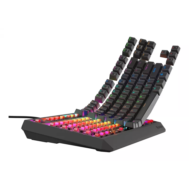 GENESIS Thor 230 TKL Lite klaviatuur Mängimine USB QWERTY Inglise Must