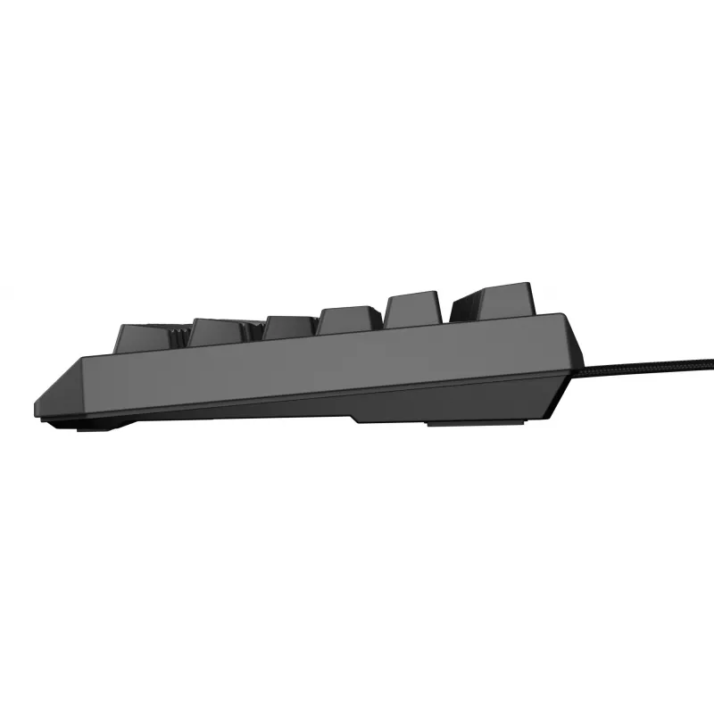 GENESIS Thor 230 TKL Lite klaviatuur Mängimine USB QWERTY Inglise Must
