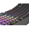 Mehaaniline mänguklaviatuur Genesis Thor 230 TKL — Tenkeyless, US QWERTY, Outemu Brown lülitid, RGB, 1000 Hz, USB