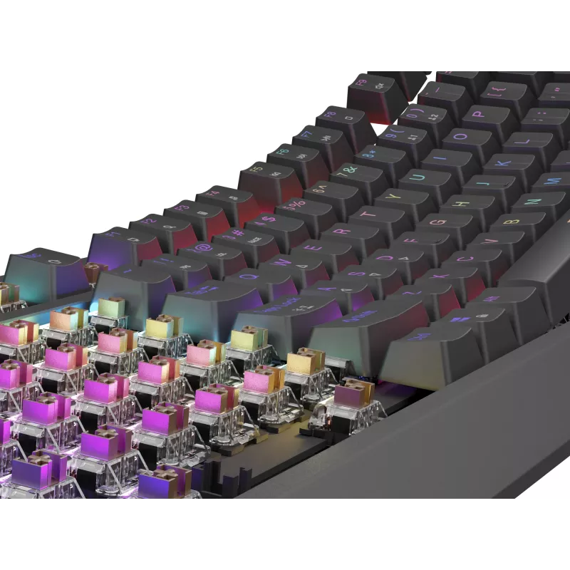 Mehaaniline mänguklaviatuur Genesis Thor 230 TKL — Tenkeyless, US QWERTY, Outemu Brown lülitid, RGB, 1000 Hz, USB