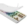 GENESIS Thor 230 TKL klaviatuur Mängimiseks USB + RF juhtmevaba + Bluetooth QWERTY Valge