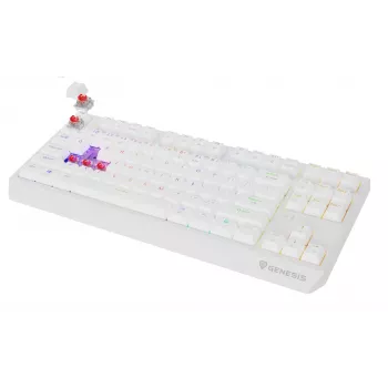 Mänguklaviatuur ilma numbriplokita GENESIS Thor 230 TKL — USB, RF traadita, Bluetooth, QWERTY, Valge