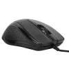 Targus AMU81AMGL hiir Office Ambidextrous USB Type-A Optical 1000 DPI