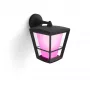 Nutikas seinavalgusti Philips Hue White and colour ambience Econic Outdoor Wall Light