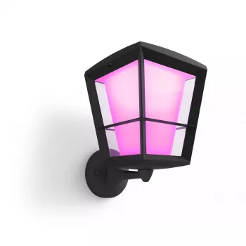 Nutikas seinavalgusti Philips Hue White and colour ambience Econic Outdoor Wall Light