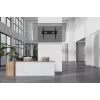 Neomounts tugev televiisoriseinakinnitus 125 kg 43-98 tolli VESA 100x100-800x600