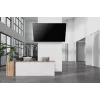 Neomounts tugev televiisoriseinakinnitus 125 kg 43-98 tolli VESA 100x100-800x600