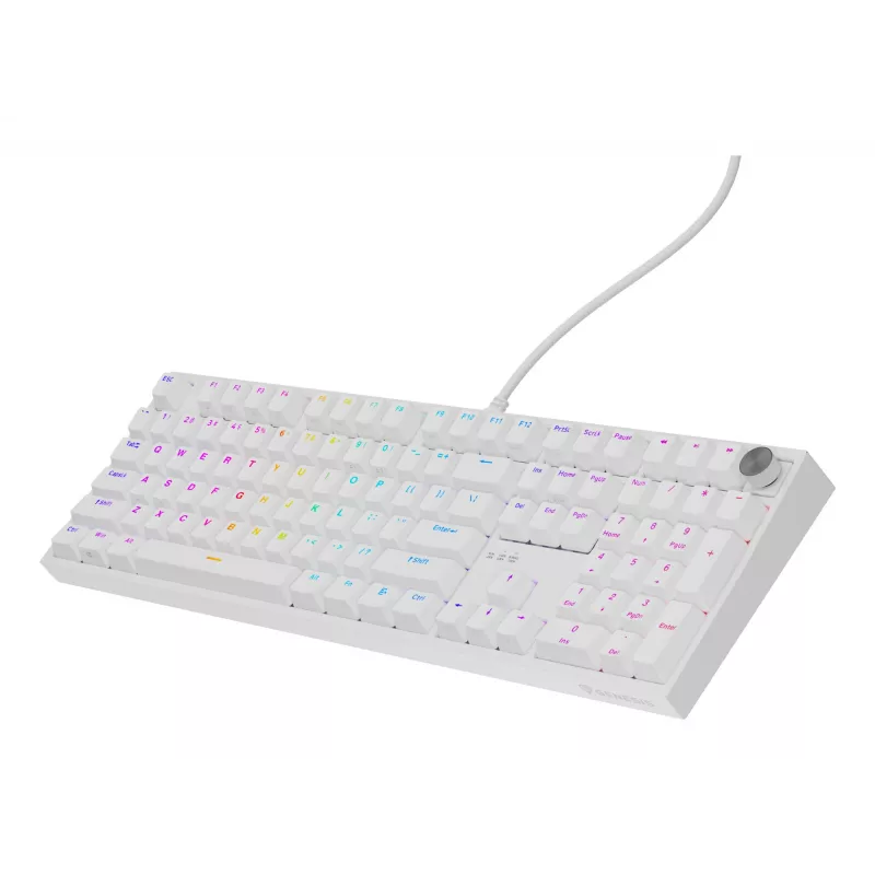 Mehaaniline klaviatuur GENESIS THOR 404, täissuuruses USB, QWERTY inglise keel, RGB-taustvalgustus, valge