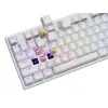 Mehaaniline klaviatuur GENESIS THOR 404, täissuuruses USB, QWERTY inglise keel, RGB-taustvalgustus, valge