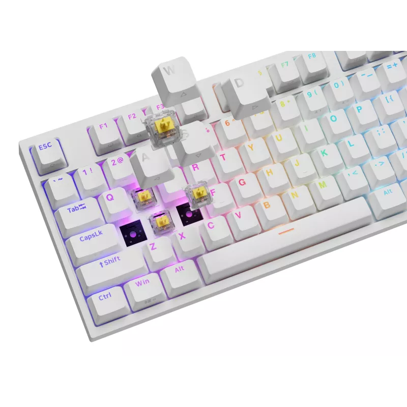 Mehaaniline klaviatuur GENESIS THOR 404, täissuuruses USB, QWERTY inglise keel, RGB-taustvalgustus, valge