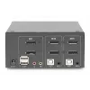 DIGITUS 2-pordine DisplayPort DualView 60 Hz 4K 60 fp mitmeplatvormiline tugi
