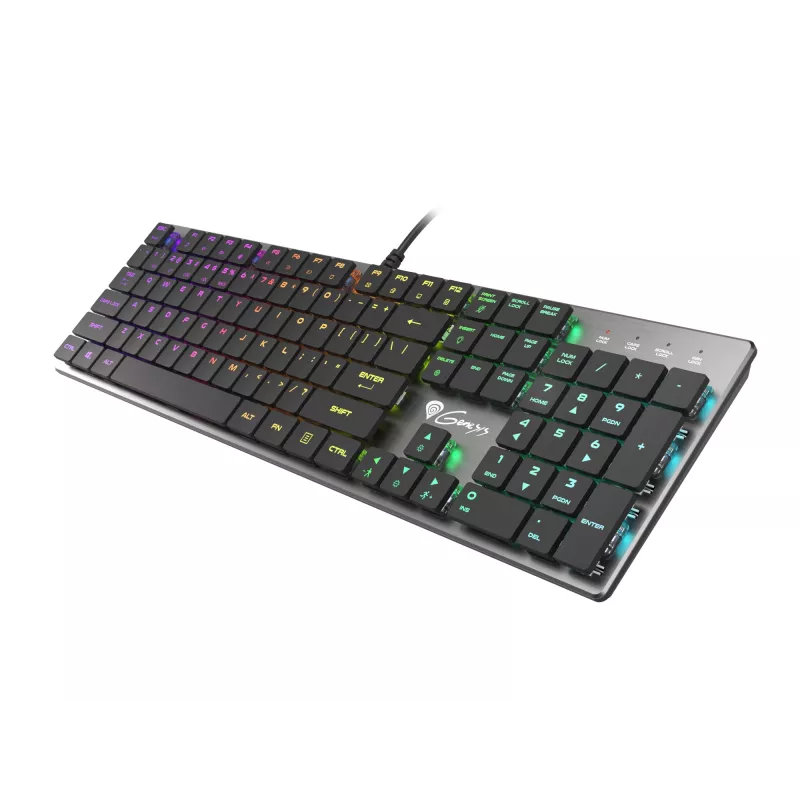GENESIS Thor 420 RGB klaviatuur Gaming USB QWERTY US International Hõbedane