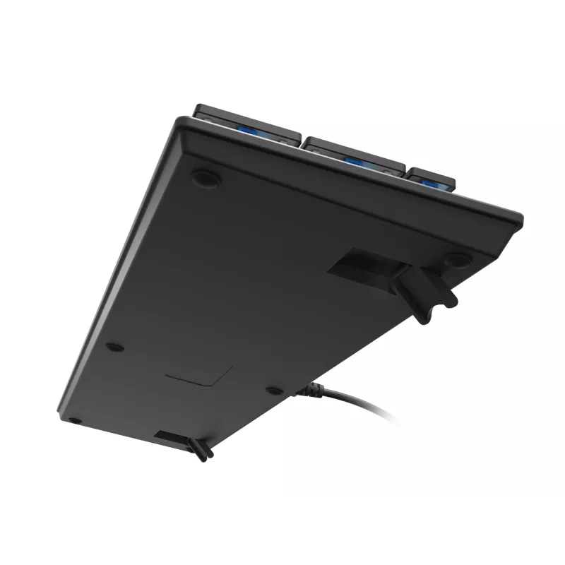 GENESIS Thor 420 RGB klaviatuur Gaming USB QWERTY US International Hõbedane