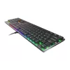 GENESIS Thor 420 RGB klaviatuur Gaming USB QWERTY US International Hõbedane
