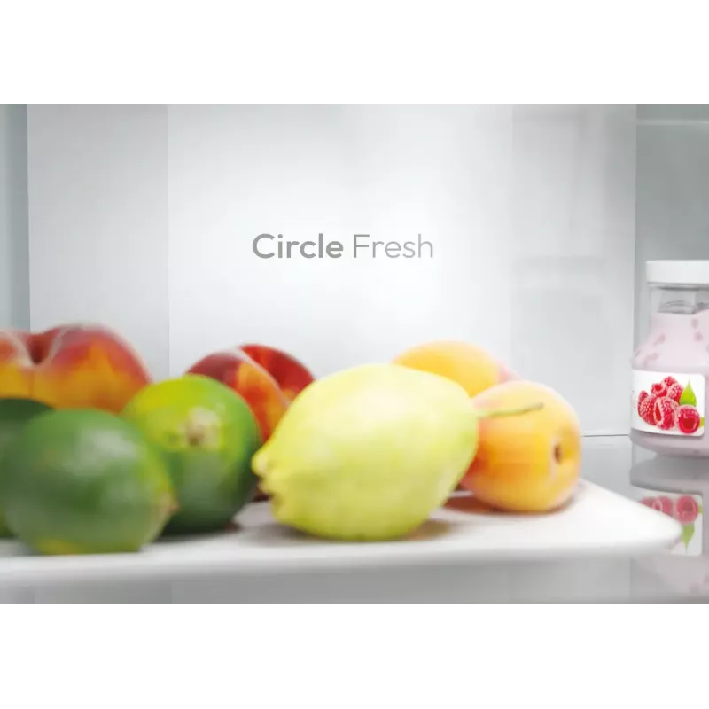 Külmik Candy Fresco ECN2CQTEB186 355 L Must No Frost