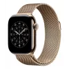 APPLE 42 mm kuldne Milanese Loop