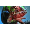 Epson EH-TW7100 Standard throw projektor 3000 ANSI luumenit 3LCD UHD 4K (3840x2160) 3D Valge