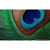 Epson EH-TW7000 Standard viskeprojektor 3000 ANSI luumenit 3LCD UHD 4K (3840x2160) 3D Valge