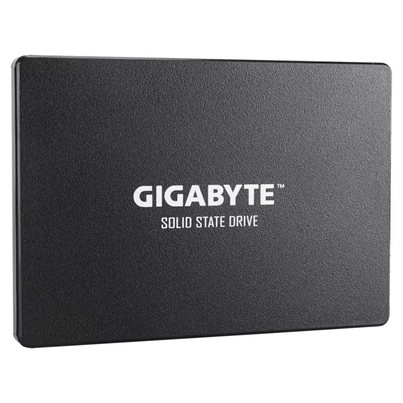 GIGABYTE GP-GSTFS31256GTND sisemine pooljuhtketas 256 GB 2.5 tolli Serial ATA III V-NAND