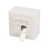 Pistikupesa 2 x RJ-45 LogiLink NP0124