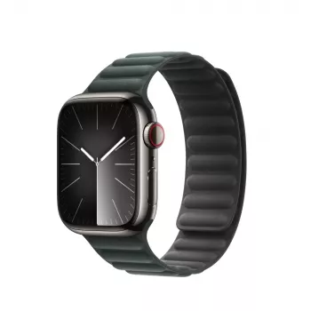 Band Apple 41mm Evergreen Magnetic Link M/L roheline