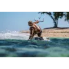 Peakomplekt Shokz OpenSwim Pro — avatud kõrvaga luuülekande juhtmevaba peakomplekt, IP68 veekindel, Bluetooth 5.4, 32 GB, 9 h taasesitus, hall