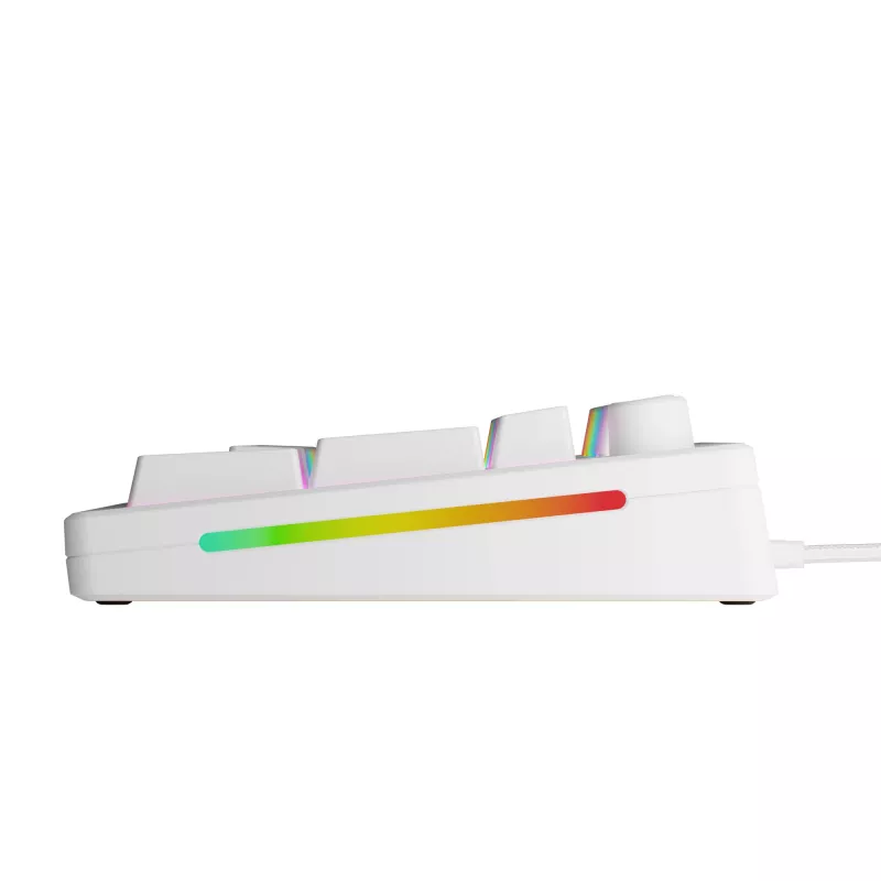 Mehaaniline täissuuruses (100%) juhtmega klaviatuur GLORIOUS GMMK 3 HE — valge, USB, QWERTY, RGB
