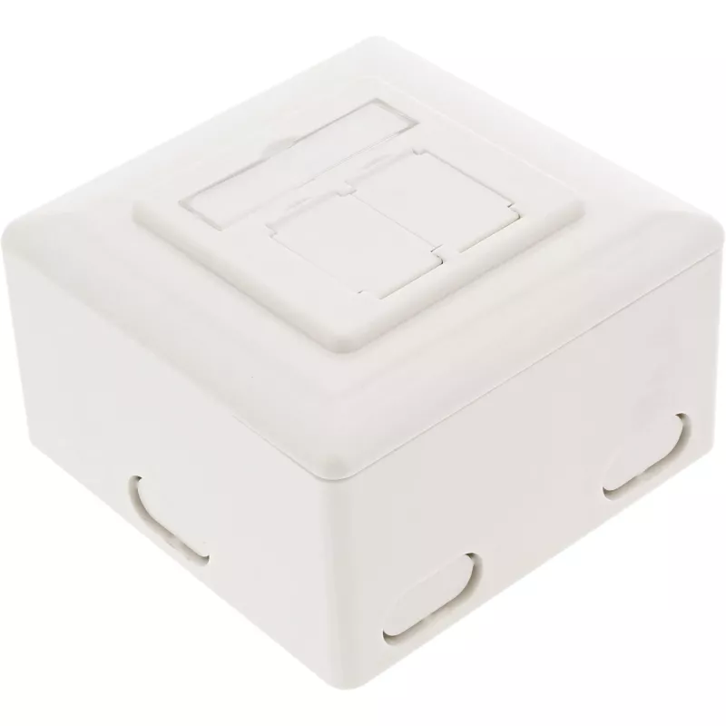 Seinasisestuskarp InLine Cat.6 2x RJ45 horisontaalne — pind- või süvispaigaldus