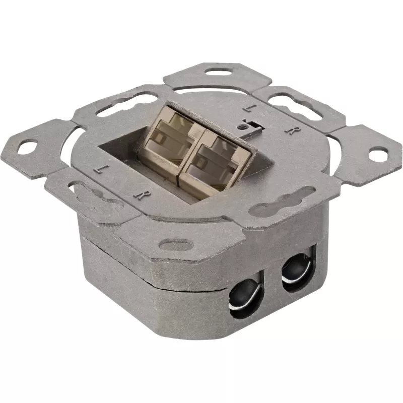 Seinasisestuskarp InLine Cat.6 2x RJ45 horisontaalne — pind- või süvispaigaldus