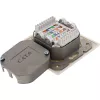 Seinasisestuskarp InLine Cat.6 2x RJ45 horisontaalne — pind- või süvispaigaldus
