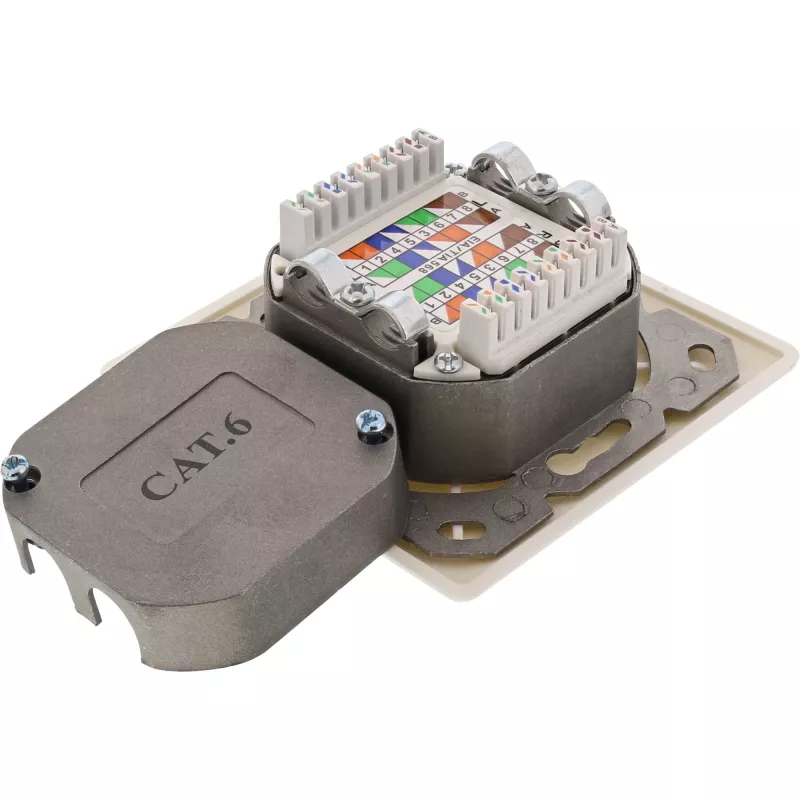 Seinasisestuskarp InLine Cat.6 2x RJ45 horisontaalne — pind- või süvispaigaldus