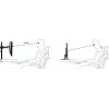 Monitor Mount ARCTIC Z2 Basic