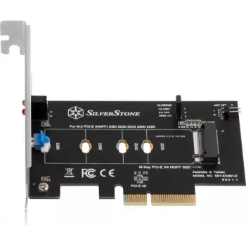 PCIe adapter SILVERSTONE SST-ECM21-E — PCIe 4.0 tugi