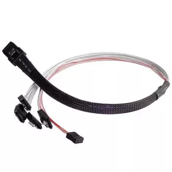 Kaabel Silverstone CPS03 0.5 m