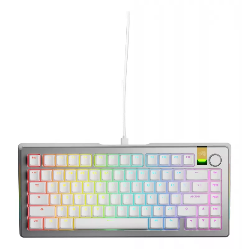 Mehaaniline mänguklaviatuur GLORIOUS GMMK 3 PRO HE 75% eelehitatud juhtmega USB QWERTY hõbedane
