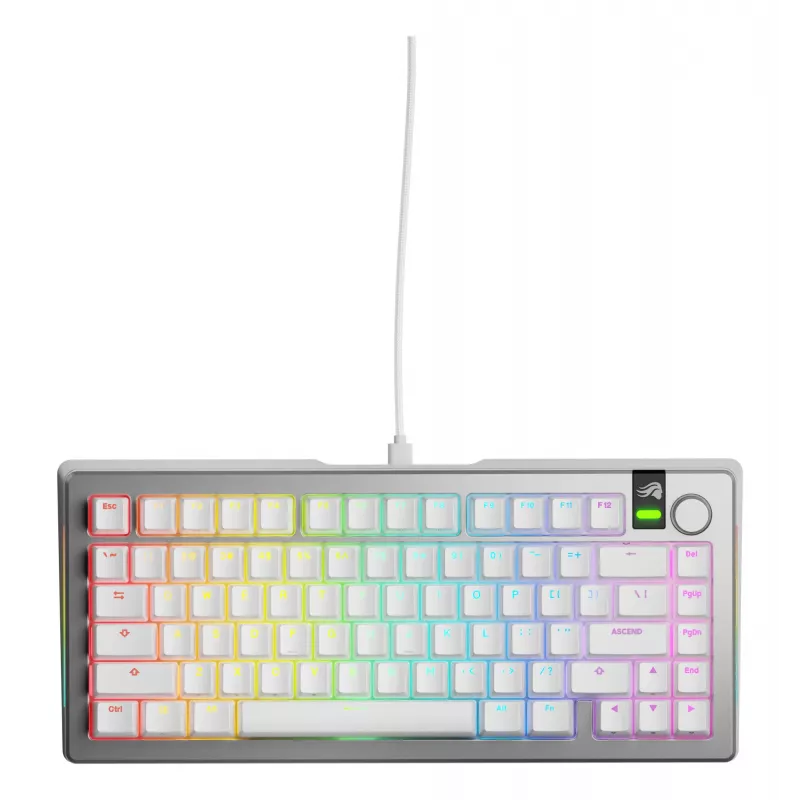 Mehaaniline mängurklaviatuur GLORIOUS GMMK 3 PRO 75% Juhtmega USB QWERTY RGB Hõbedane (US)