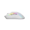 Glorious Gaming Glorious Model D 2 Wireless - Matt valge, Paremakäeline, RF-juhtmevaba, 19000 DPI, Valge