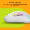 Glorious Gaming Glorious Model D 2 Wireless - Matt valge, Paremakäeline, RF-juhtmevaba, 19000 DPI, Valge